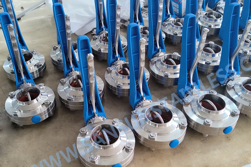 Manufacturer of Sanitary Butterfly Valve