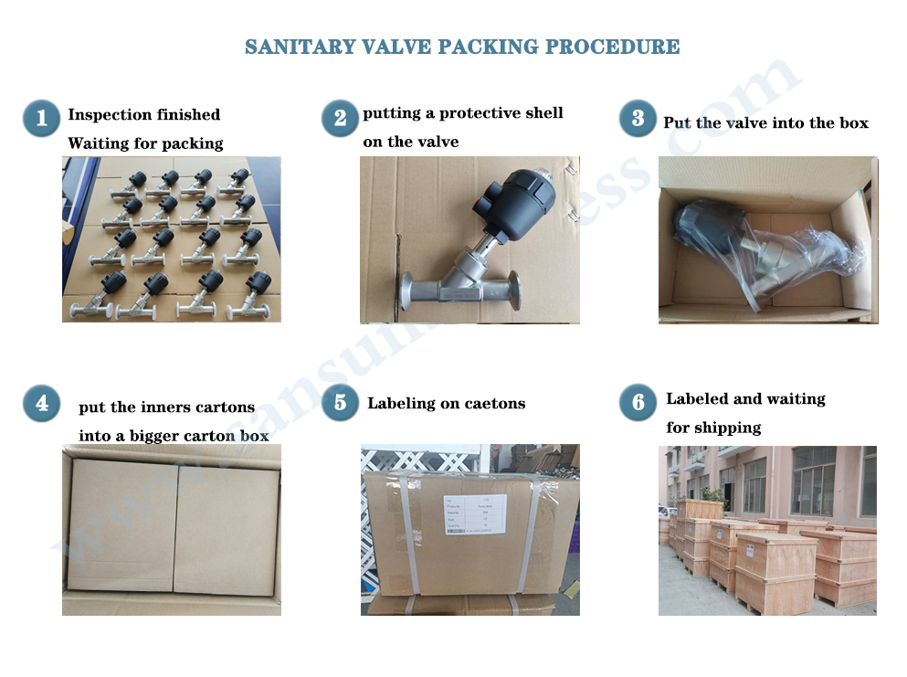 Pneumatic Angle Seat Valve1
