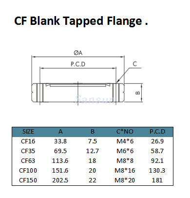 CF Blank Flange (3)