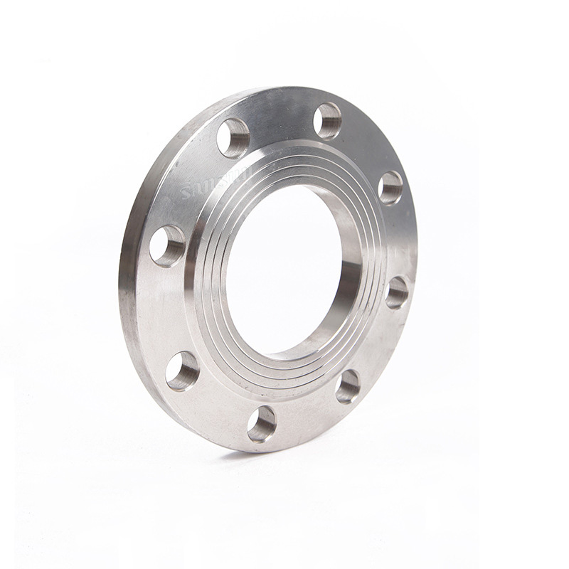 Stainless Steel Plain welding Flange