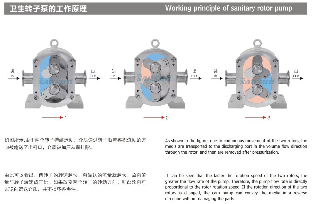 working-principle-of-sanitary-rotor-pump