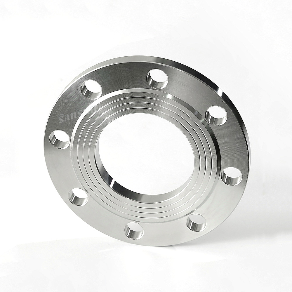 Stainless Steel Plain welding Flange
