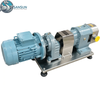 Sanitary Rotary Lobe Pump 316L Stainless Steel